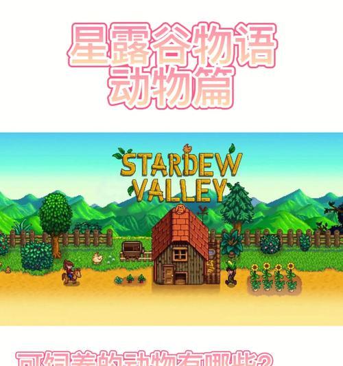 时间花语象征哪种动物？有何含义？