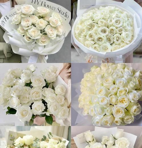哪些玫瑰花品种既好养又容易活？选择玫瑰花品种的建议是什么？