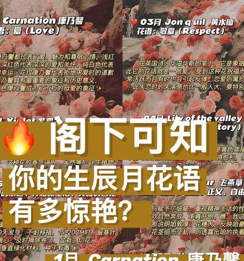 生日花语有哪些？