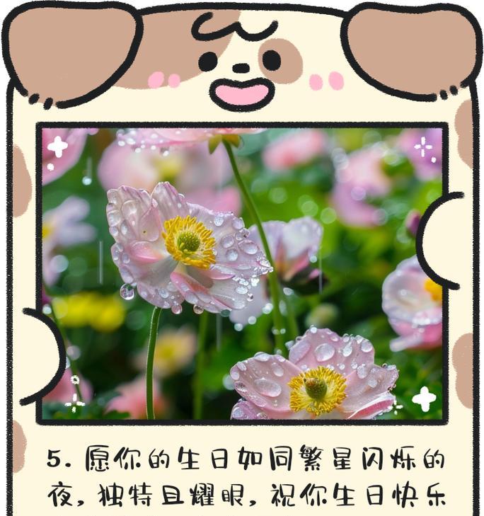 生日花语有哪些？