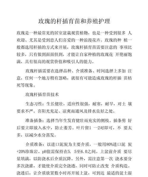 大号玫瑰花扦插方法是什么？