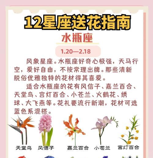 十二星座双鱼花语代表什么含义？