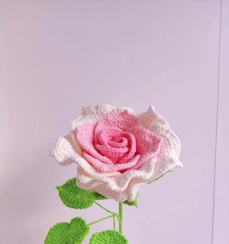 玫瑰花插紧凑枝条的方法是什么？如何插出美观的玫瑰花枝条？
