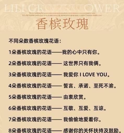 粉玫瑰的一句花语表达什么？