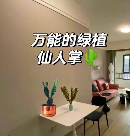 如何使吊盆中的仙人掌养得美观？