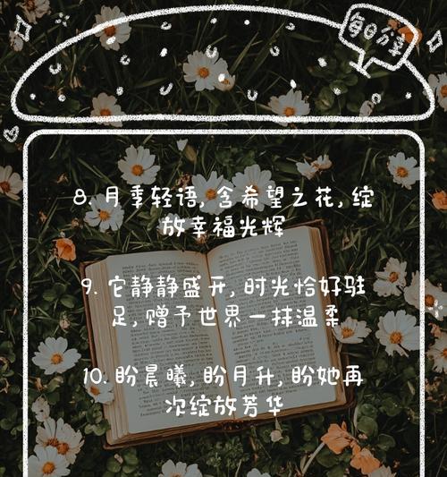 浪漫满怀花语代表什么？