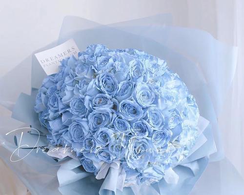 蓝色玫瑰花的养护技巧是什么？如何保持其颜色鲜艳？