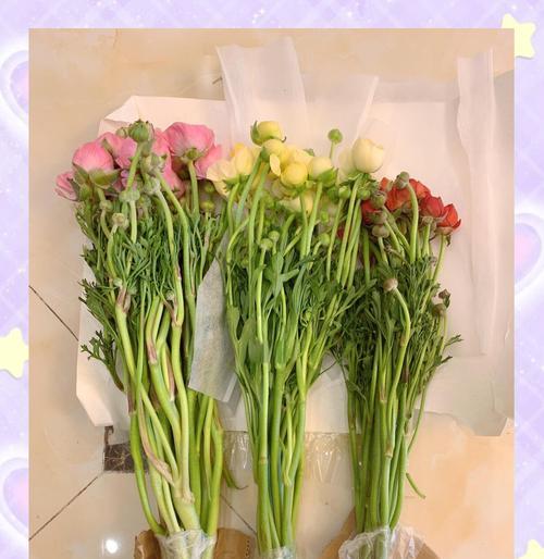 牡丹花插花技巧有哪些？