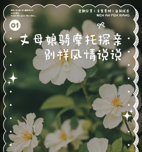 怂丈母娘的花语是什么？这种说法有何含义？