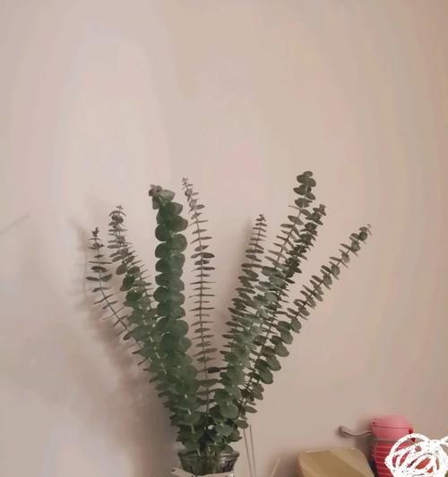 秘密花语中隐藏着哪些惊喜？