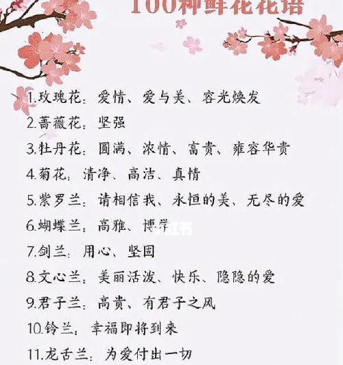 理性而深沉的爱的花语代表什么？
