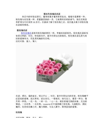 不同颜色的玫瑰花语有何不同？