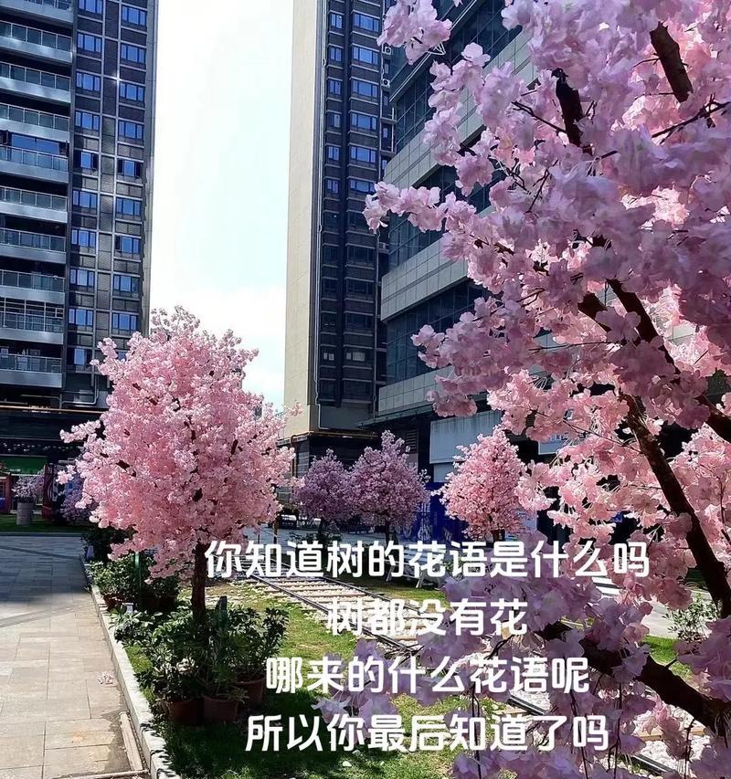 哪种花象征遗憾和悲伤？花语背后的故事是什么？