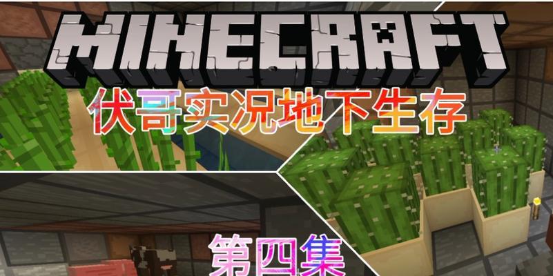 在《我的世界》中如何种植人工仙人掌田？