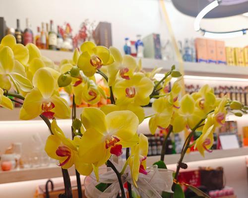 粉色玫瑰的花语18朵是什么？兰花花名寓意及花语是什么？