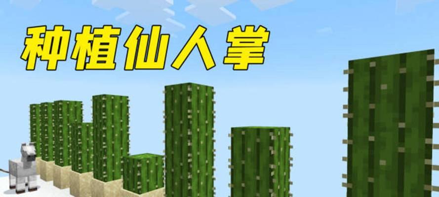 在《我的世界》中如何种植人工仙人掌田？