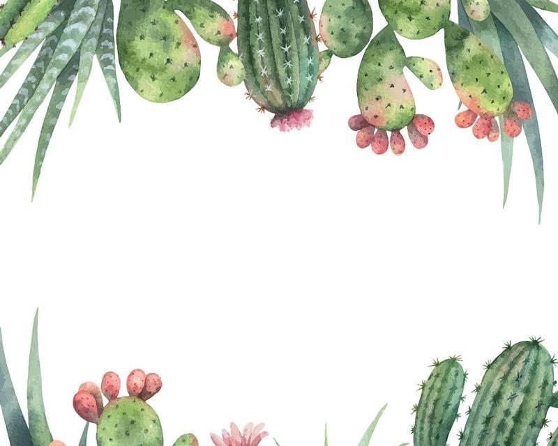 植物2卡仙人掌的卡法是什么？如何正确操作？