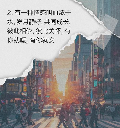 亲情姐弟之间用什么花语表达？