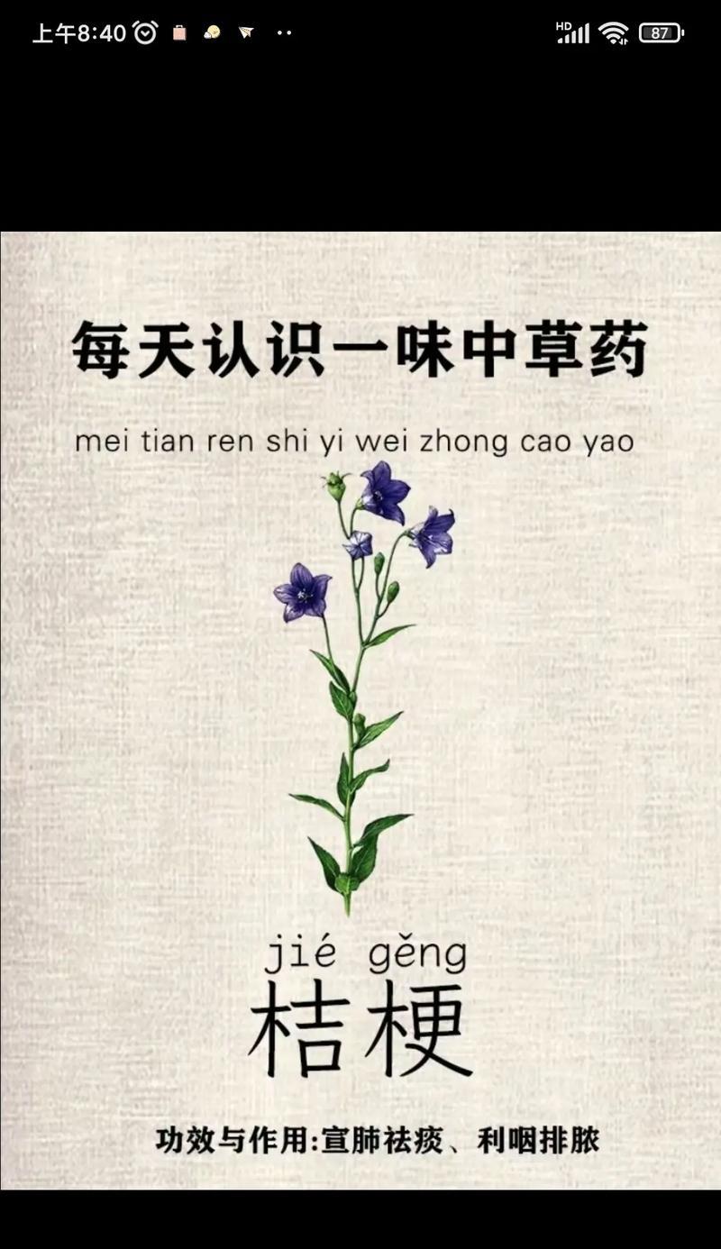 茉莉花与桔梗的花语有何不同？各自代表什么？