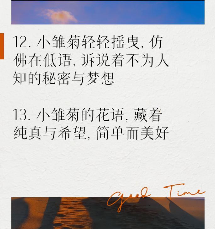 小雏菊礼物花语是什么？小雏菊作为礼物的含义是什么？