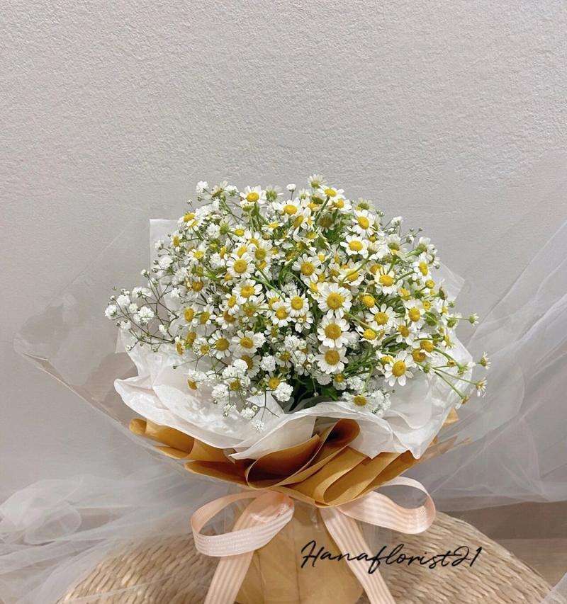 小雏菊礼物花语是什么？小雏菊作为礼物的含义是什么？