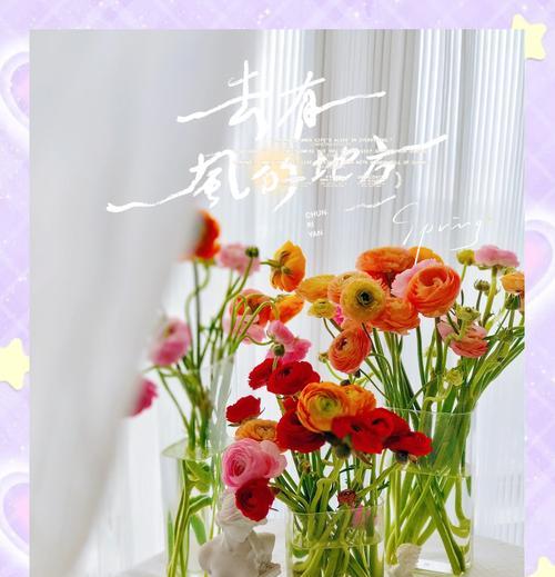 牡丹花施肥和护养需要注意什么？