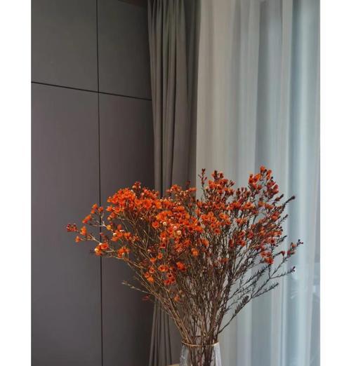 带有红梅的花语是什么意思？红梅在花语中代表什么？