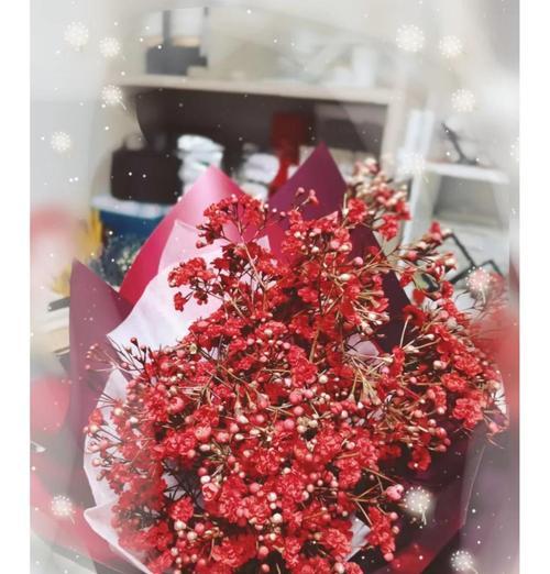 带有红梅的花语是什么意思？红梅在花语中代表什么？