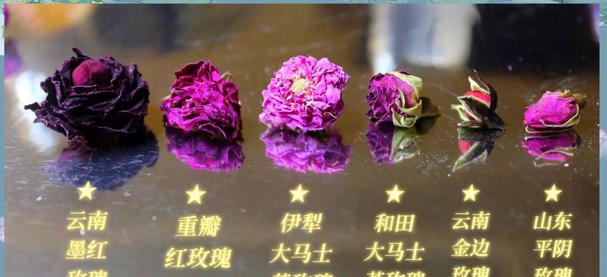 爆款玫瑰花的养护技巧有哪些？如何保持其品质？