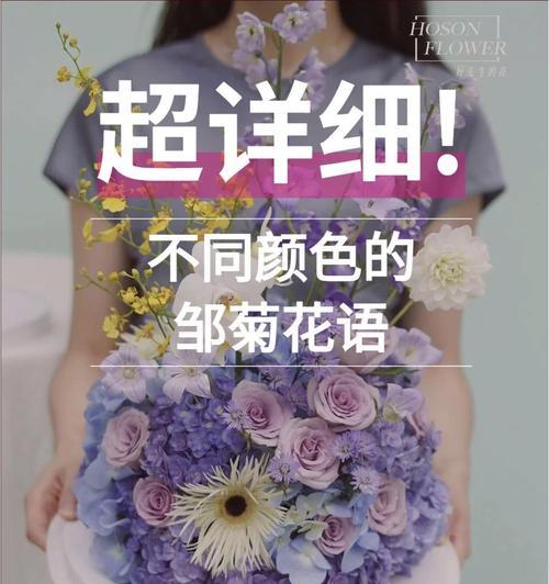 晨曦花语的含义是什么？怎么正确发音？