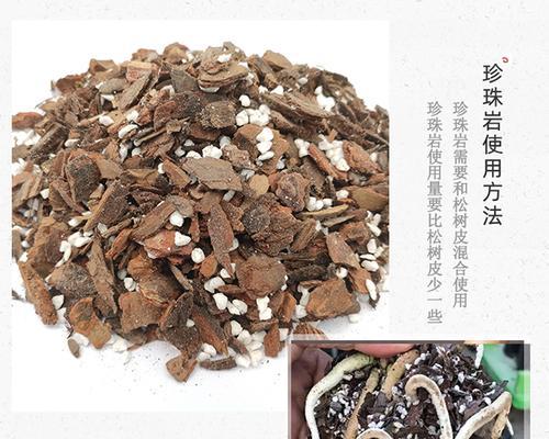珍珠岩对君子兰生长的影响及使用方法是什么？