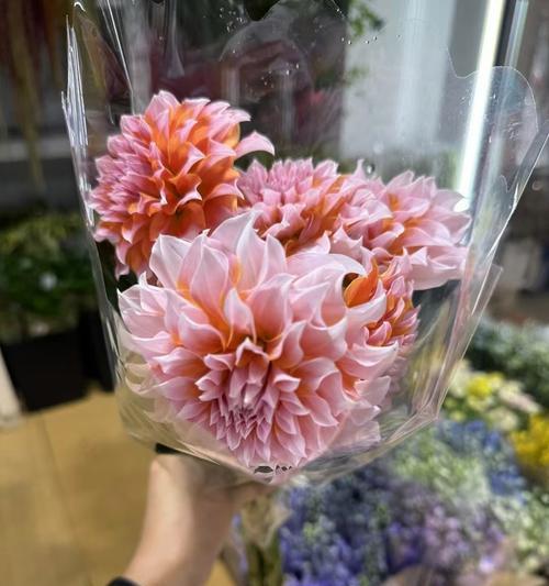 奶油桃子代表的花语有何含义？