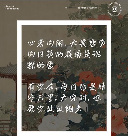 花语中的沉默且热烈的爱是什么意思？它传达了哪种情感？