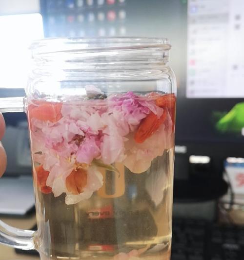 用杯子养玫瑰花可行吗？有哪些注意事项？