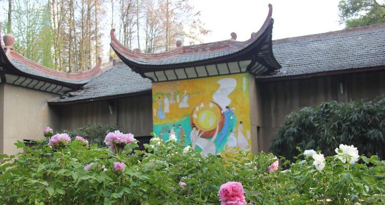 牡丹花未大面积种植的原因是什么？