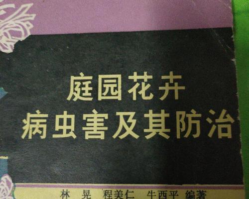 千叶仙人掌怎么扦插？君子兰一片叶用什么土养殖？