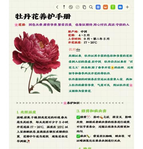 牡丹花秋天换盆可以吗？如何正确进行？