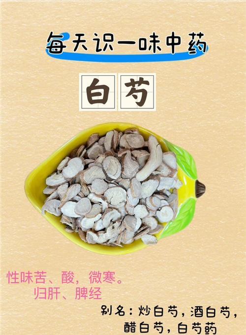 白色芍药的花语寓意有哪些？