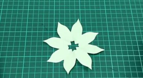 玫瑰花剪花下来的正确步骤是什么？