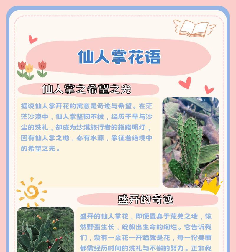 仙人掌粉红小花的养殖方法是什么？养殖过程中需要注意什么？