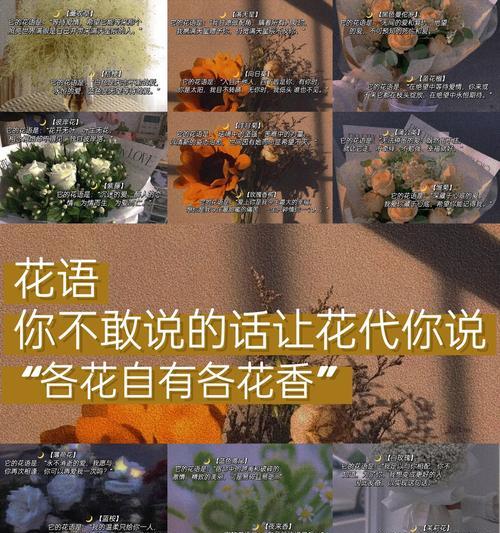 哪种花的花语代表悲伤的情感？