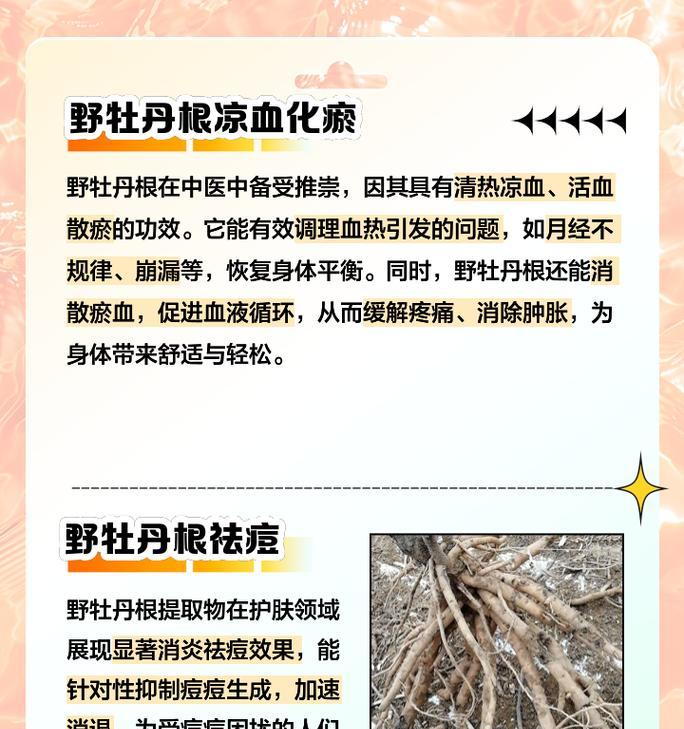 牡丹花根快速发芽的养护技巧是什么？