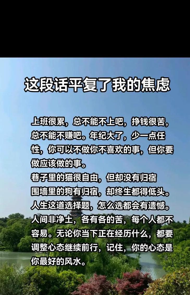 心如针刺之苦的花语有何含义？