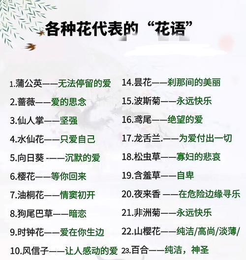 蔷薇花的花语是什么？它象征着什么？