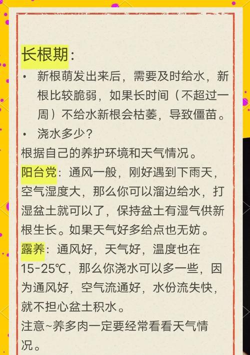 仙人球栽培时需要灌水吗？正确的浇水方法是什么？