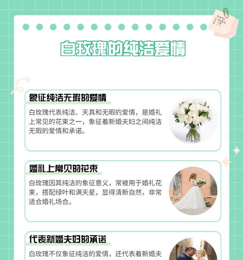 两朵白玫瑰的寓意是什么？它们代表了什么情感？