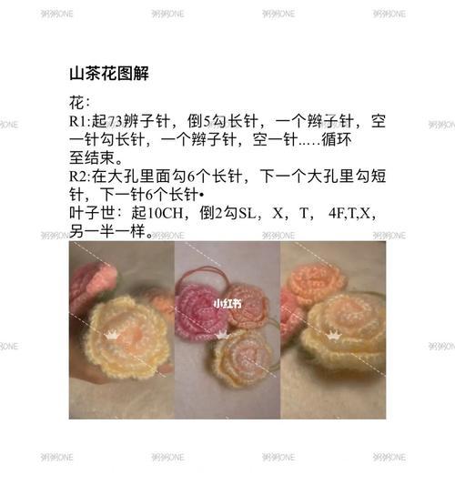 毛绒花作为礼物的花语含义是什么？