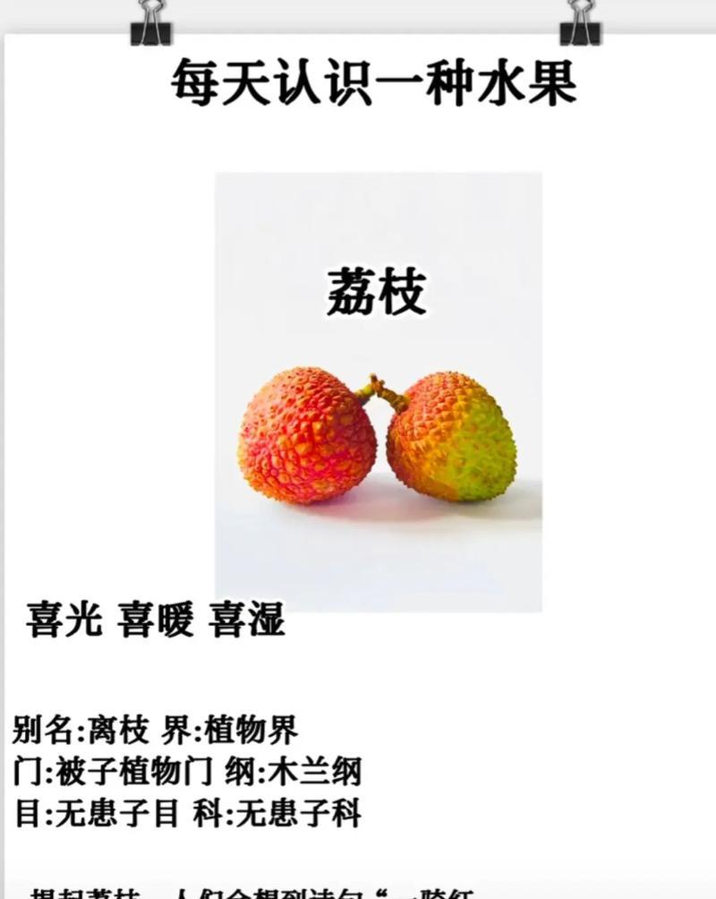 白花荔枝花语是什么？荔枝花在文化中有何象征意义？