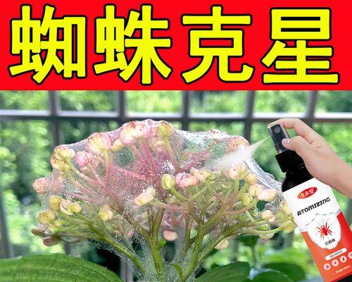种植玫瑰花时防虫应使用哪种药物？