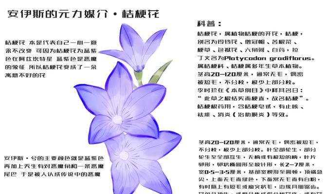 好可爱的小宝宝花语是什么？小宝宝相关的花语有哪些？